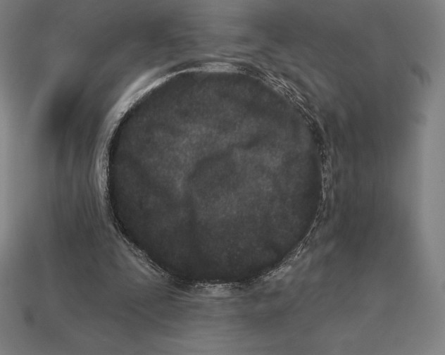 X0000113120295200909251118