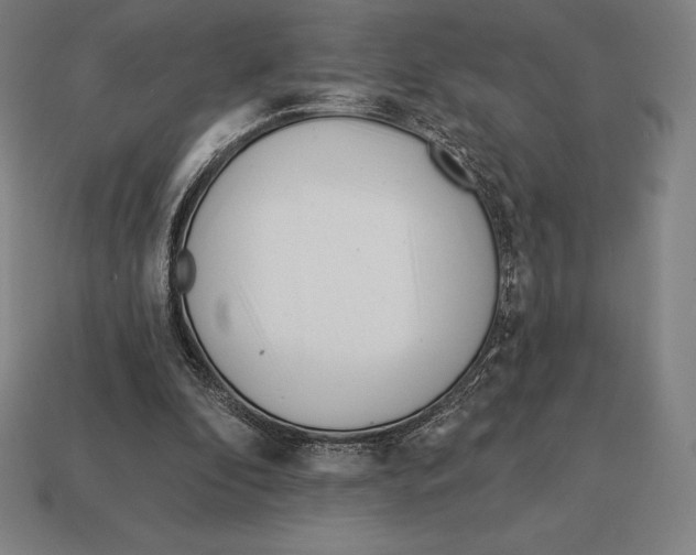 X0000113120296200909251118
