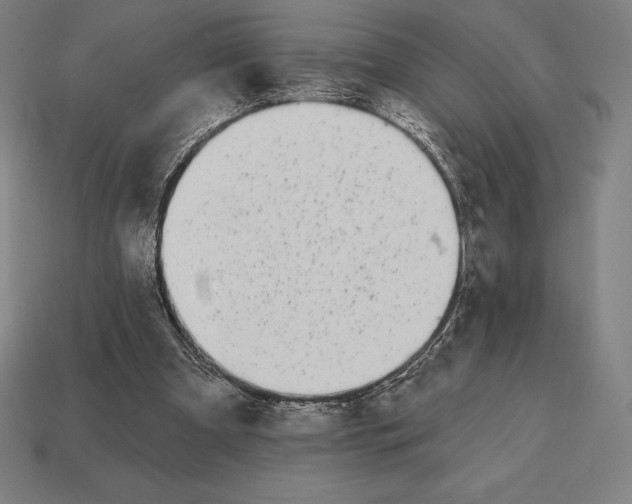 X0000113120297200909251118