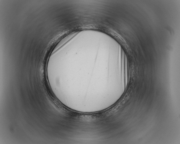 X0000113120298200909251118