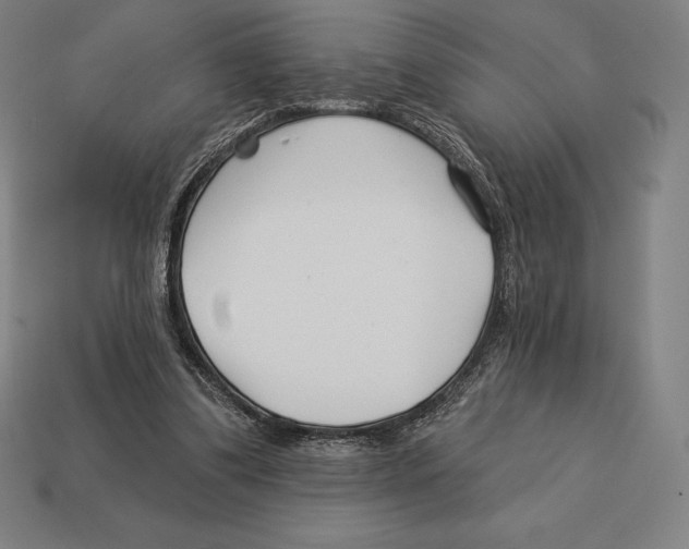 X0000113120299200909251118