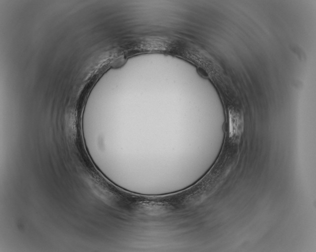 X0000113120300200909251118