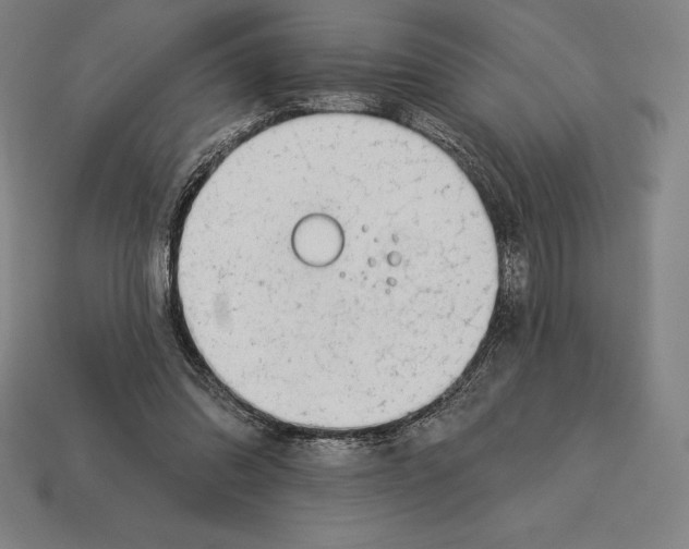 X0000113120302200909251118