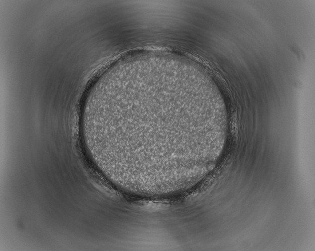 X0000113120303200909251118