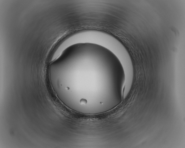 X0000113120304200909251118
