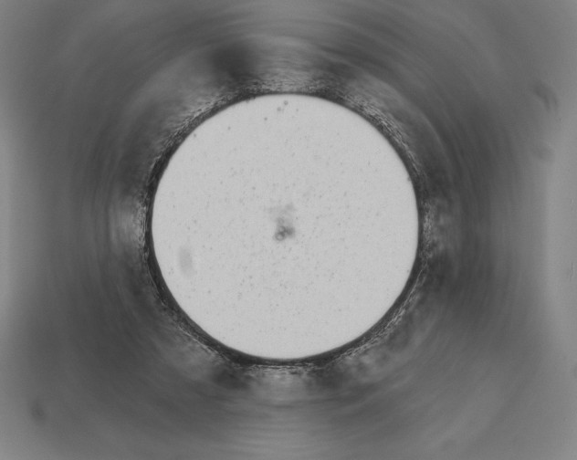 X0000113120305200909251118