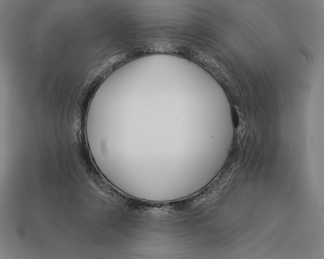 X0000113120306200909251118