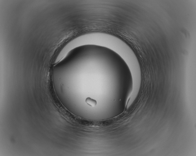X0000113120308200909251118