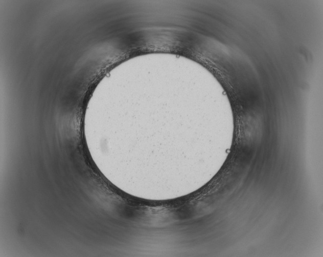 X0000113120309200909251118