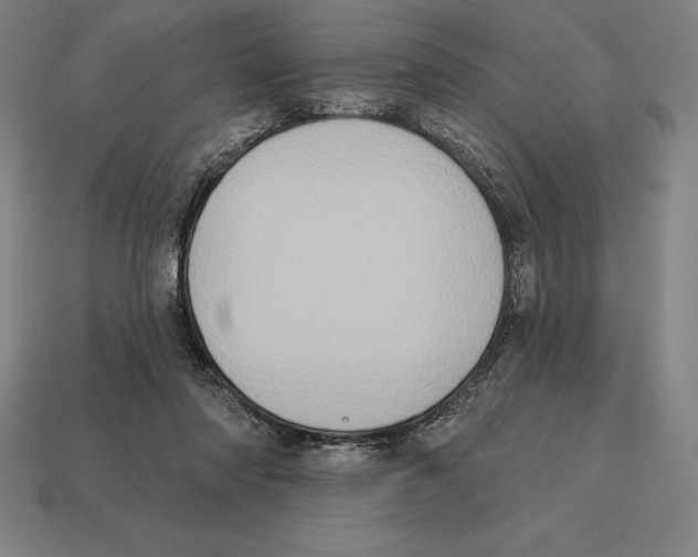 X0000113120310200909251118
