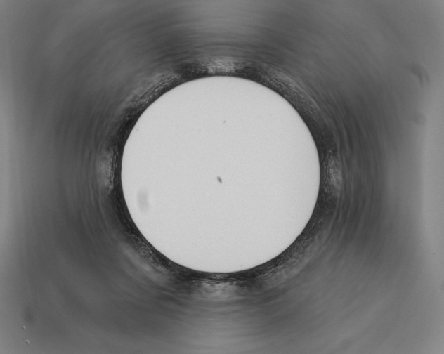 X0000113120311200909251118