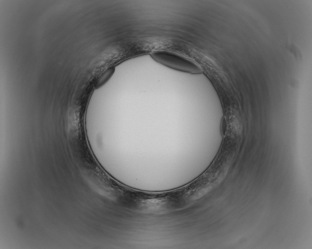 X0000113120312200909251118