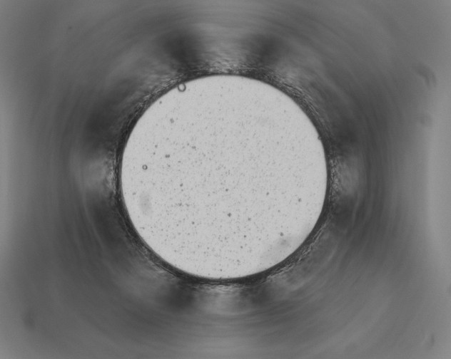 X0000113120313200909251118