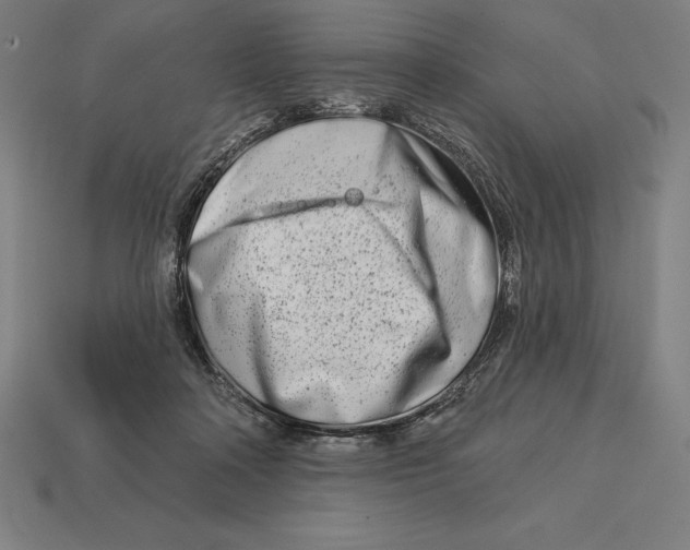 X0000113120314200909251118