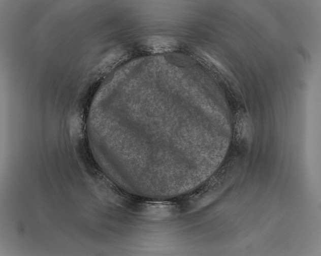 X0000113120316200909251118