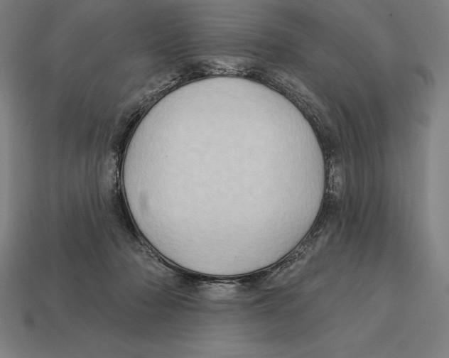 X0000113120318200909251118