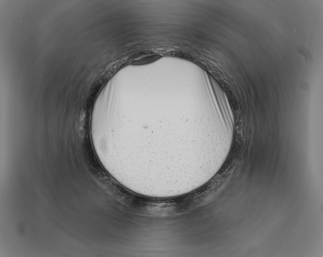 X0000113120319200909251118