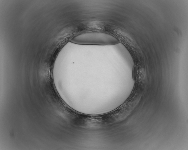 X0000113120320200909251118