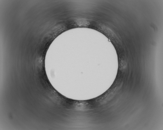 X0000113120321200909251118