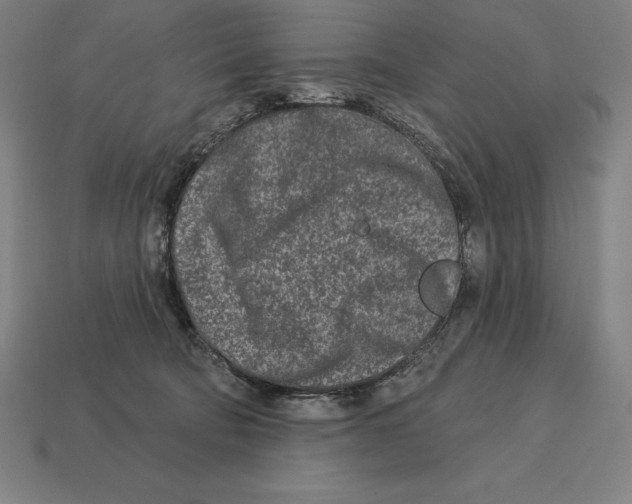 X0000113120322200909251118