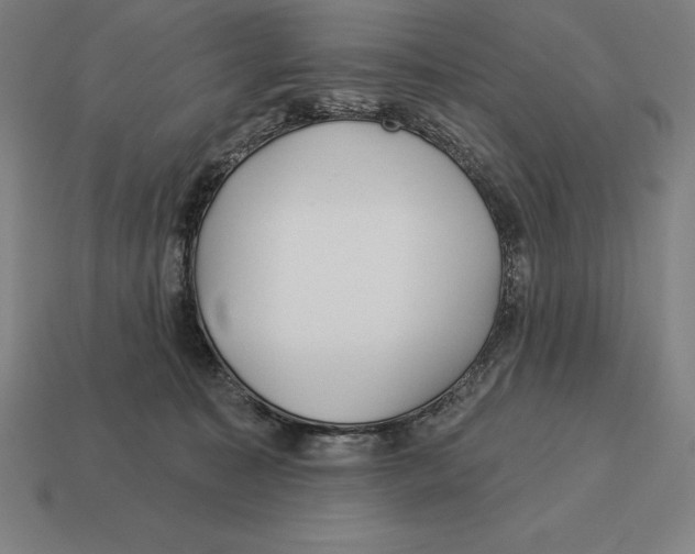 X0000113120323200909251118