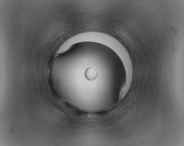 X0000113120324200909251118