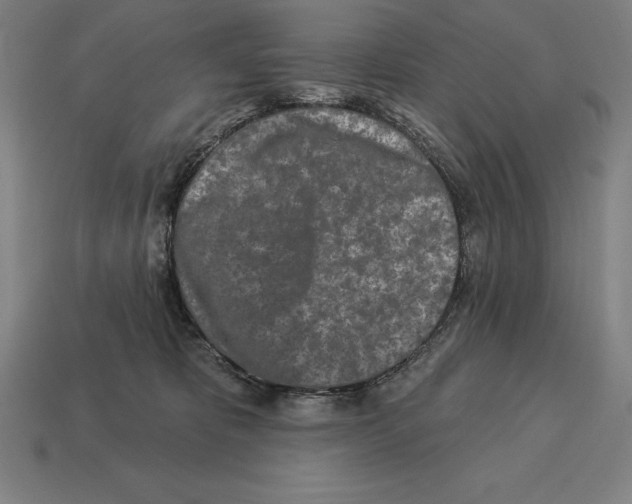 X0000113120325200909251118