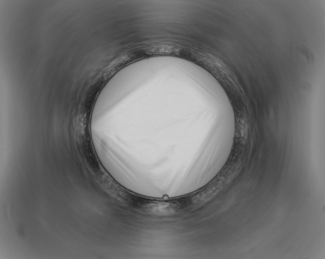 X0000113120326200909251118