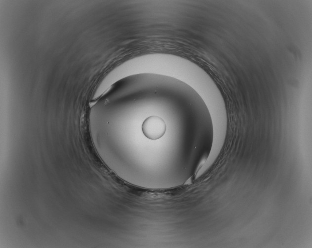 X0000113120327200909251118