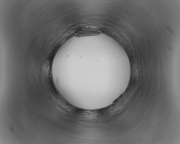 X0000113120328200909251118