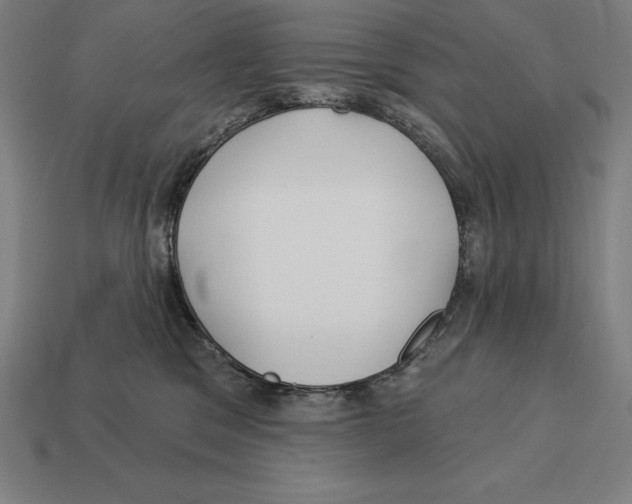 X0000113120329200909251118