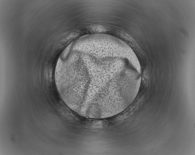 X0000113120330200909251118