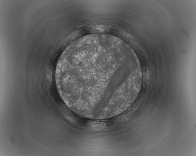 X0000113120331200909251118