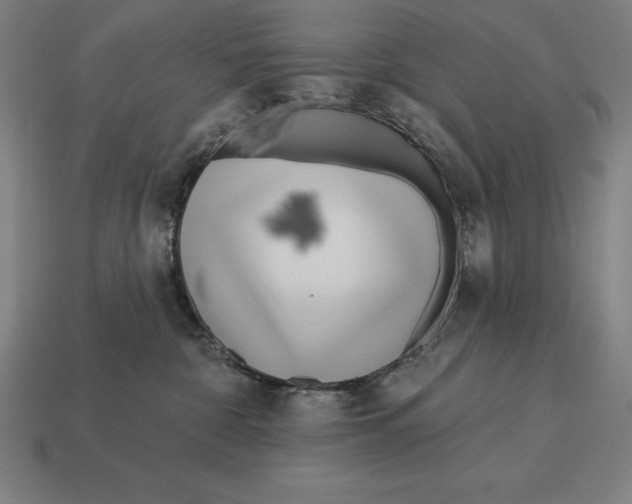 X0000113120332200909251118