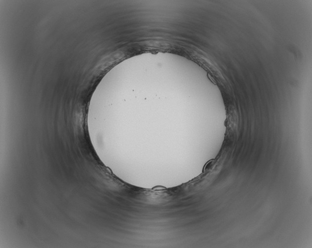 X0000113120333200909251118
