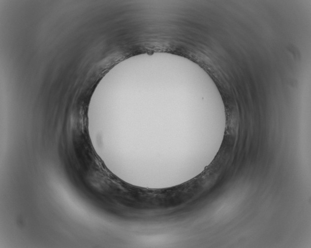 X0000113120334200909251118