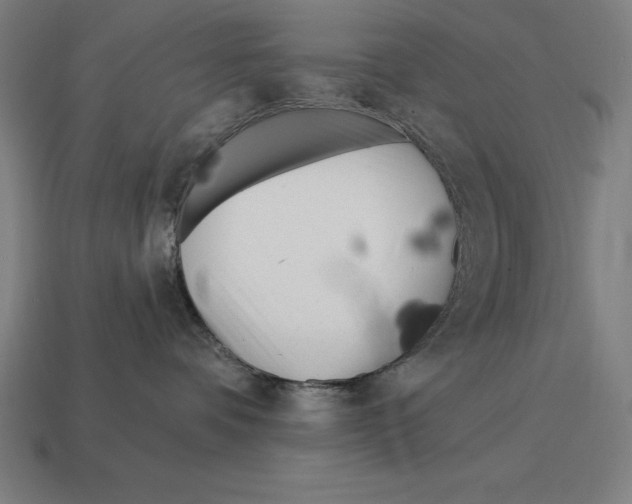 X0000113120336200909251118