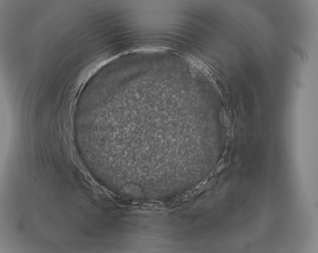 X0000113120337200909251117