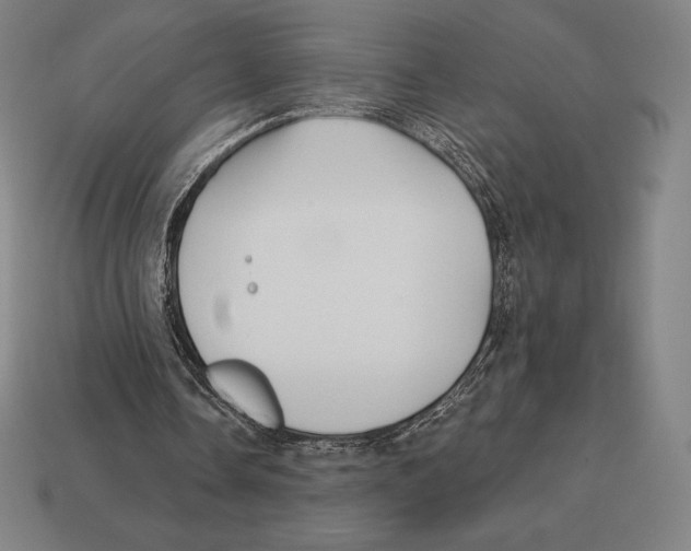 X0000113120338200909251117