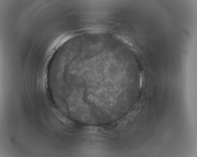 X0000113120339200909251117