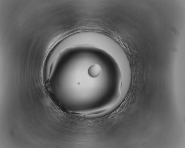 X0000113120340200909251117