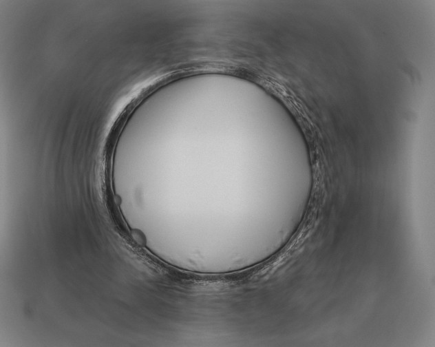 X0000113120342200909251117