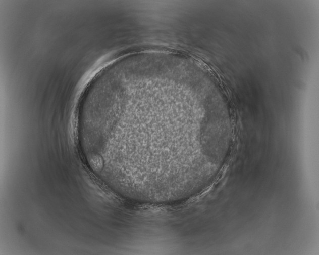 X0000113120343200909251117