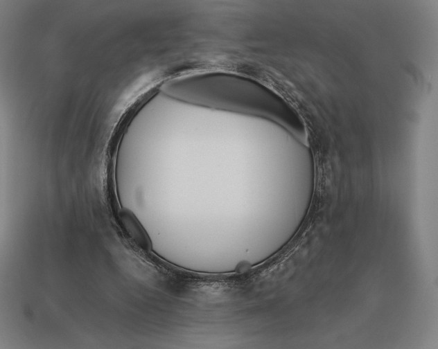 X0000113120344200909251117