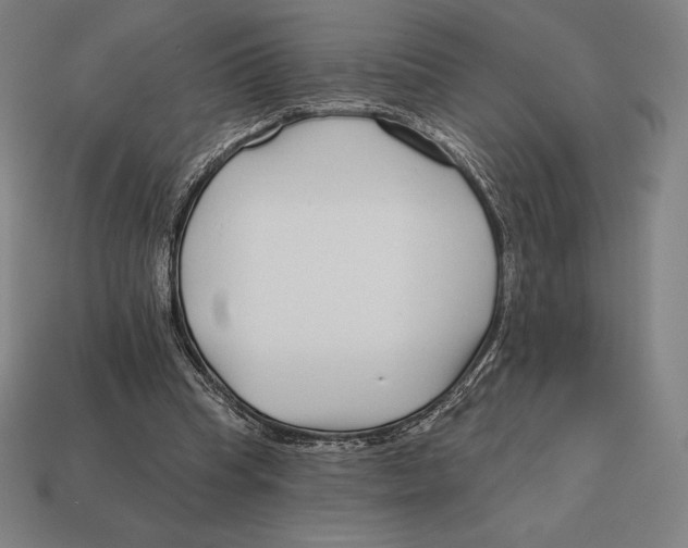 X0000113120345200909251117