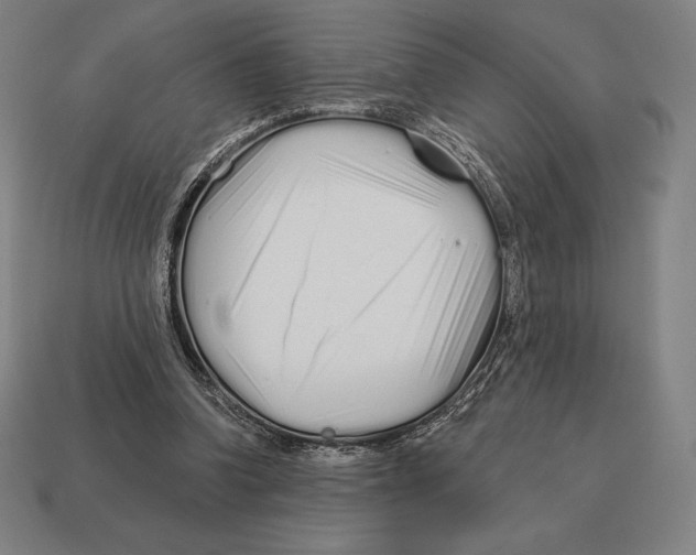 X0000113120346200909251117