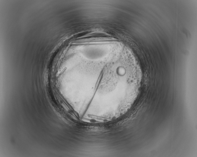 X0000113120347200909251117