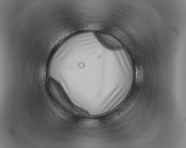 X0000113120348200909251117