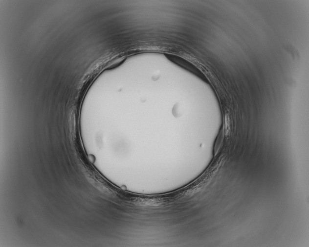 X0000113120349200909251117