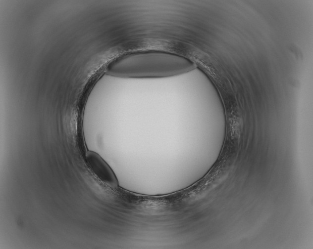 X0000113120350200909251117